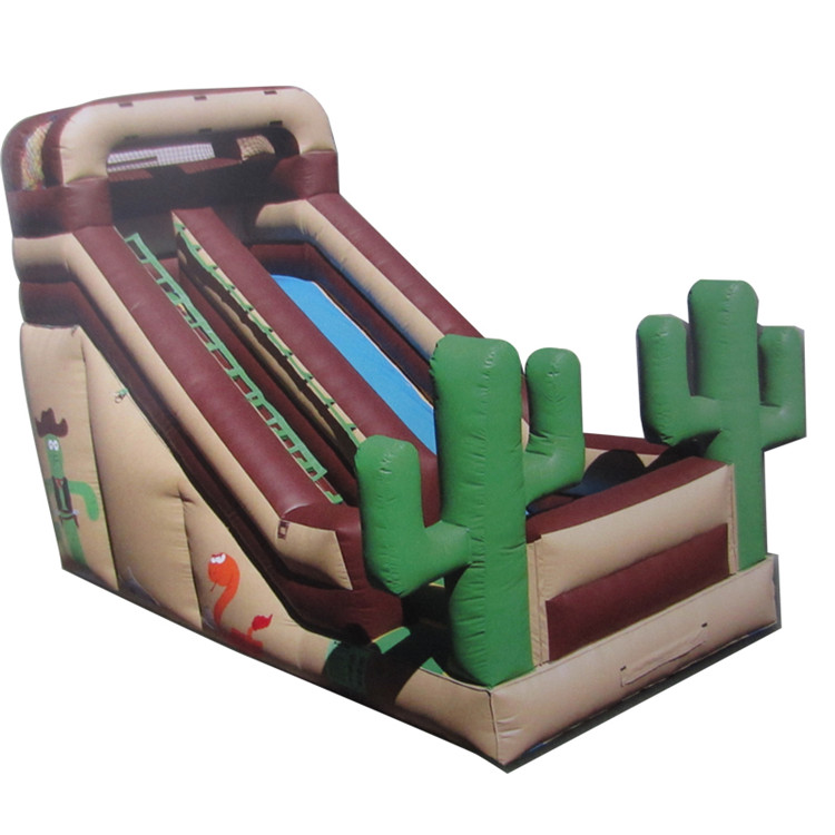 Inflatable Slides FLSL-A20006