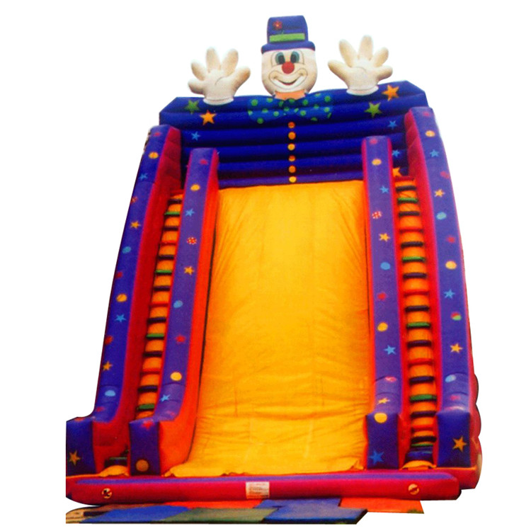Inflatable Slides FLSL-A20039