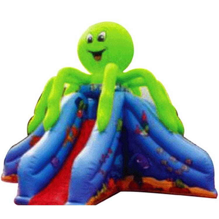 Inflatable Slides FLSL-A20067